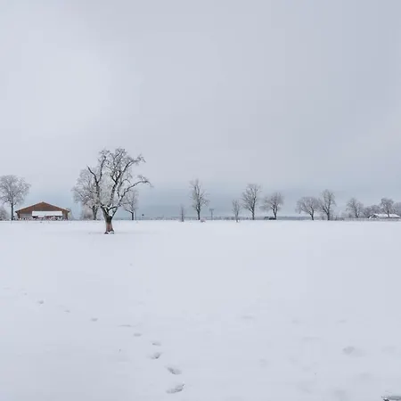 Apartamento In Bayern *
