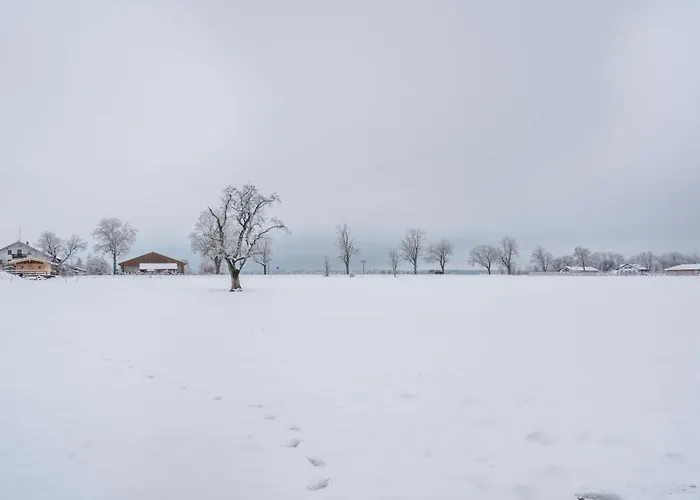 Apartament In Bayern *